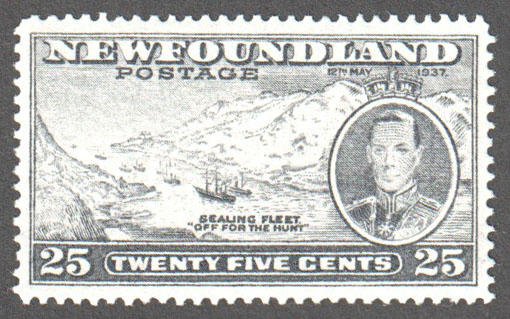 Newfoundland Scott 242 Mint VF (P13.7) - Click Image to Close